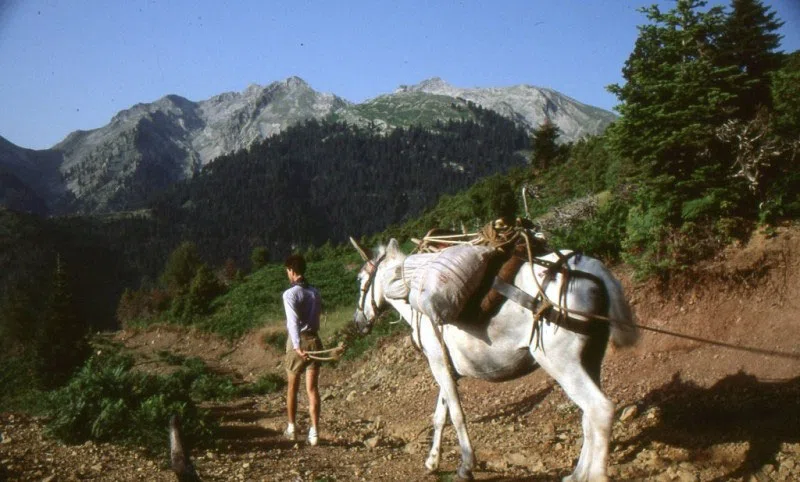 Pindus Mountain Trek 1989 — photograph 182