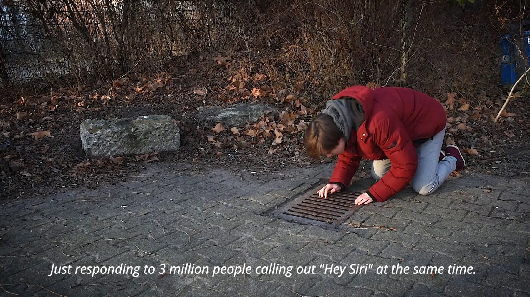 Hey Siri! — photograph 6