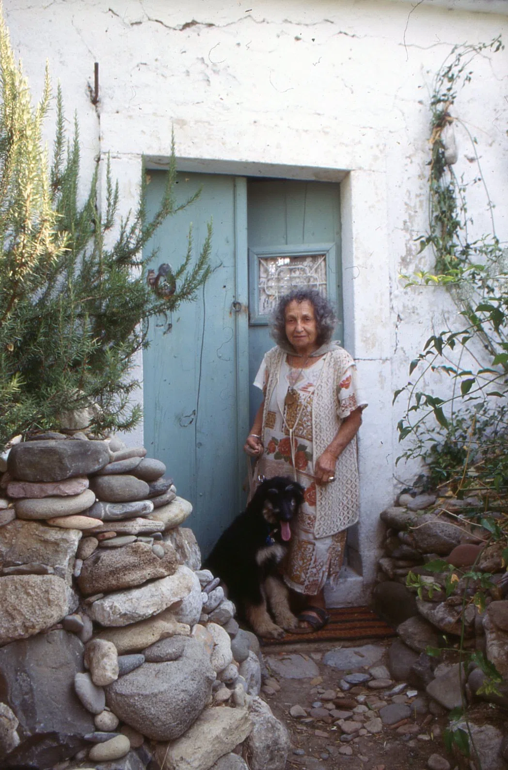 Juliette de Bairacli Levy — photograph 6