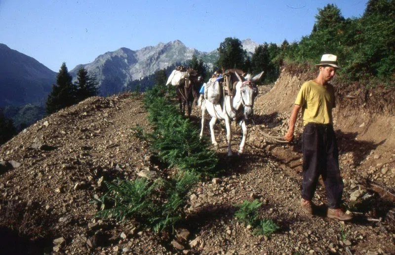 Pindus Mountain Trek 1989 — photograph 206