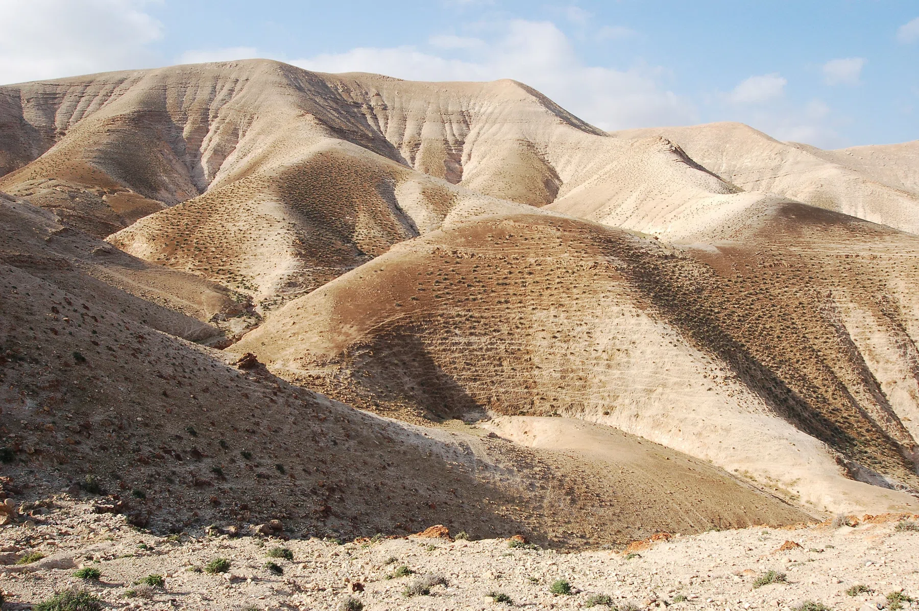 Palestine 2006 — photograph 11