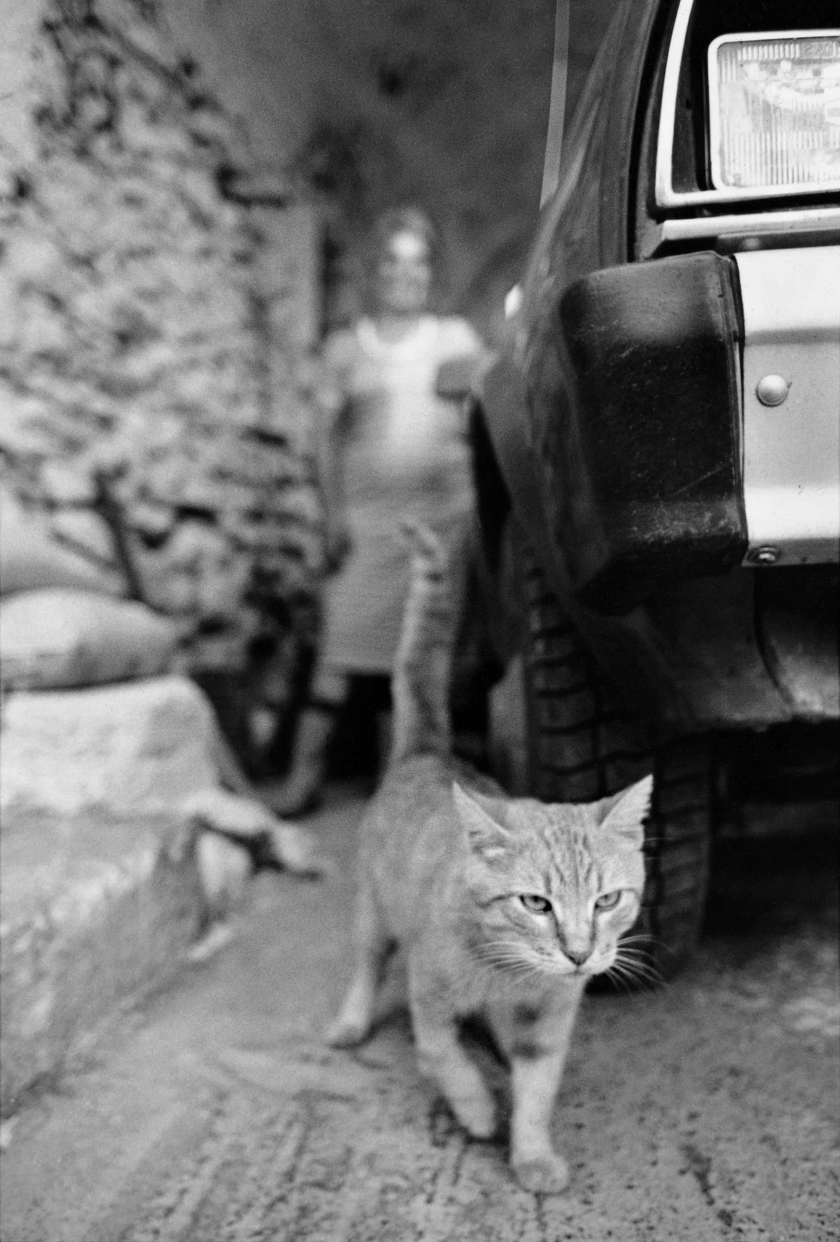 A Village on Kythera Exhibition 1996 — photograph 30