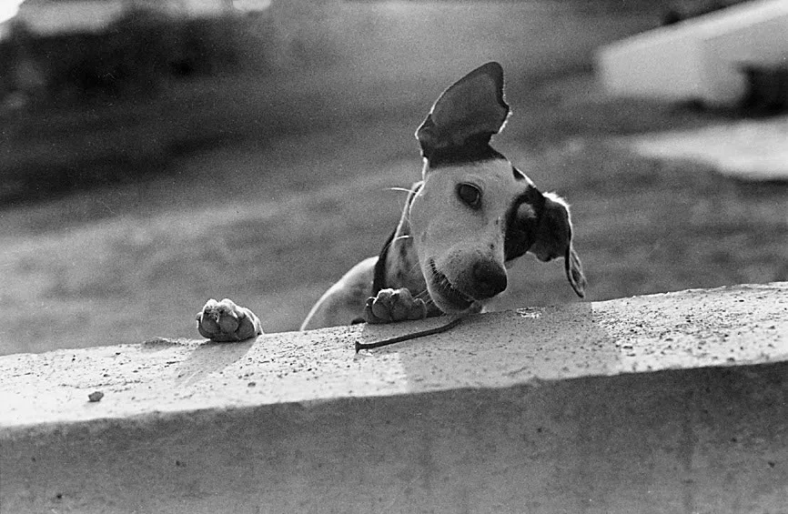 A Village on Kythera Exhibition 1996 — photograph 123