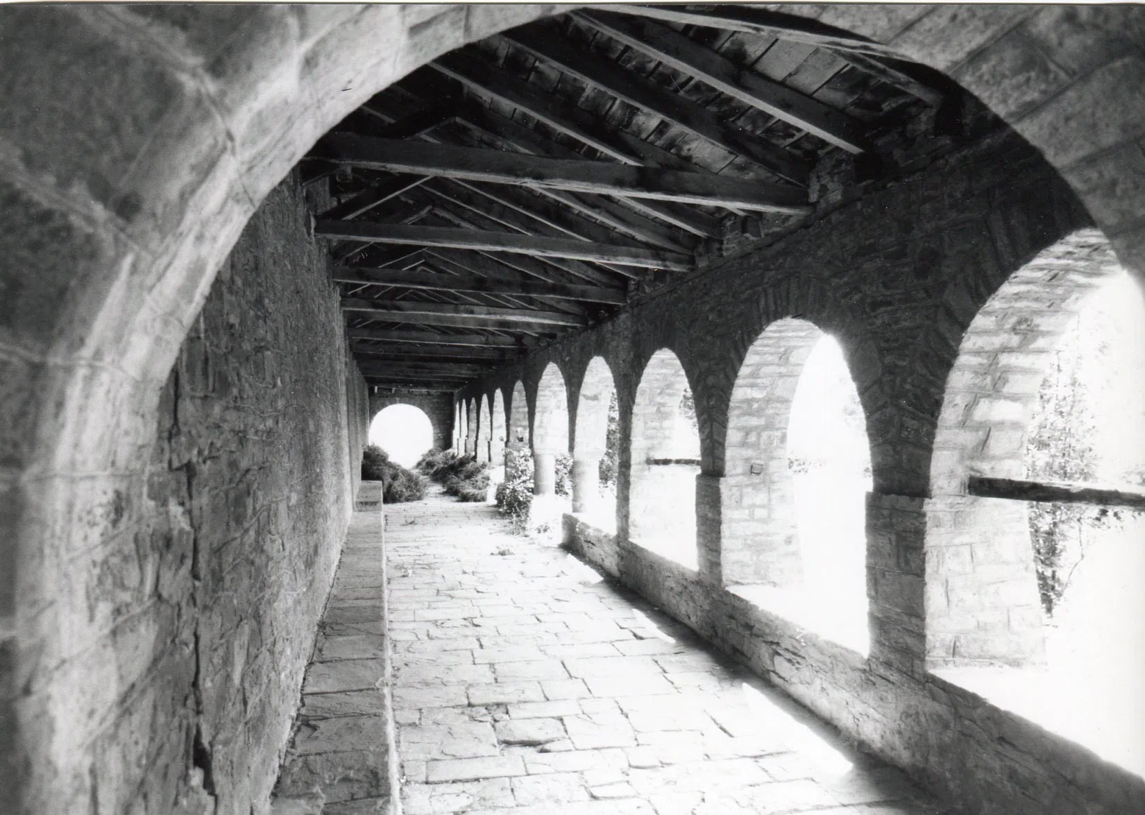 Pindus Mountain Trek 1989 — photograph 29