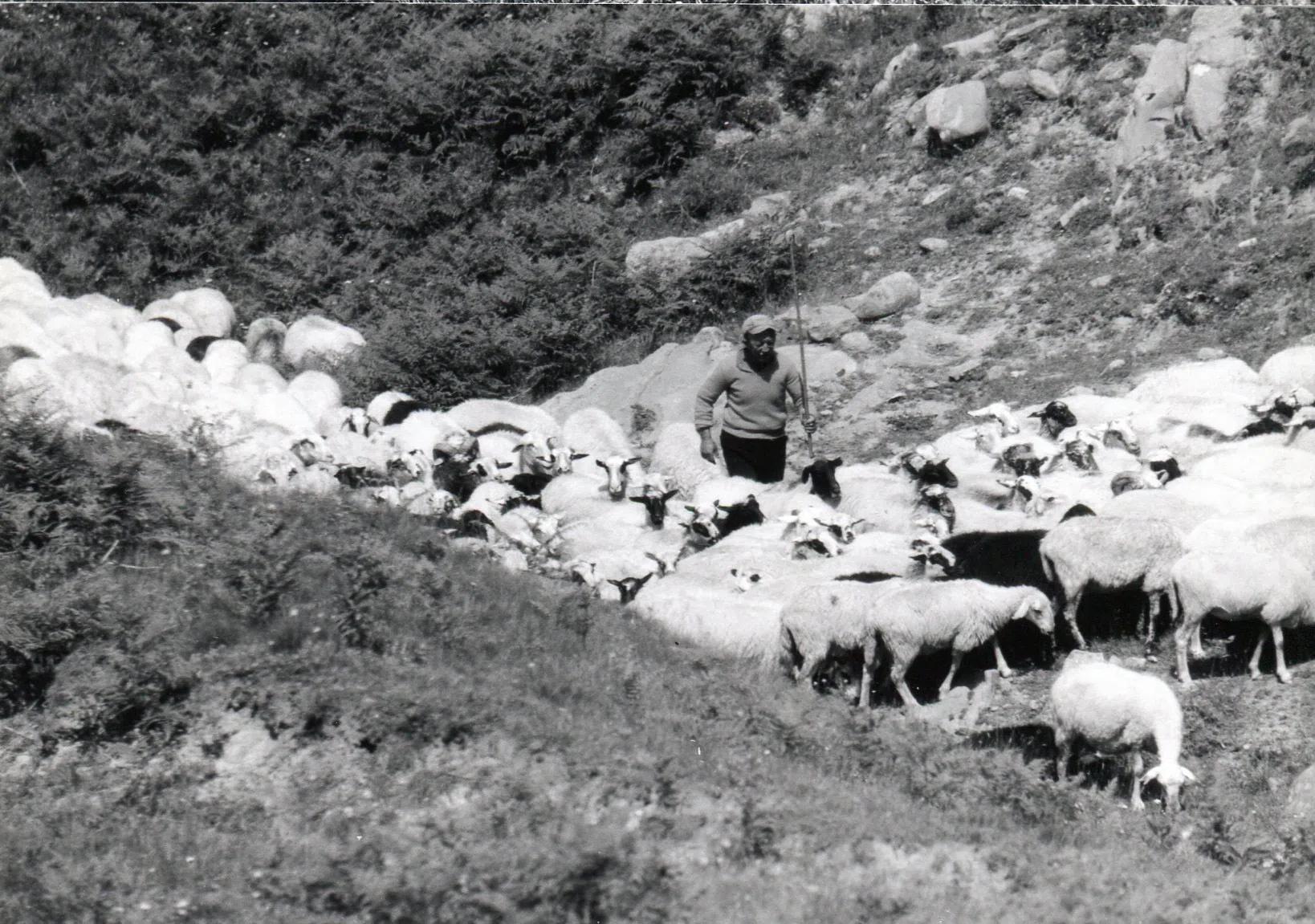 Pindus Mountain Trek 1989 — photograph 43