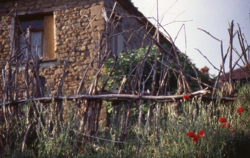 Pindus Mountain Trek 1989 — photograph 183