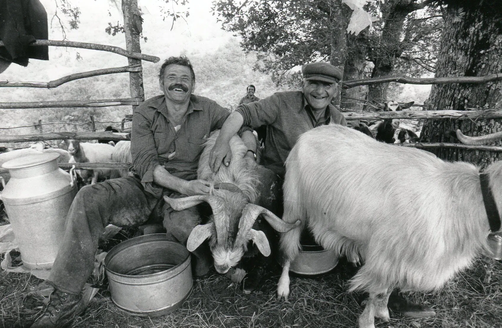 Pindus Mountain Trek 1989 — photograph 71