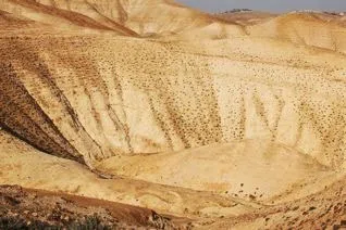 Palestine 2006 — photograph 111