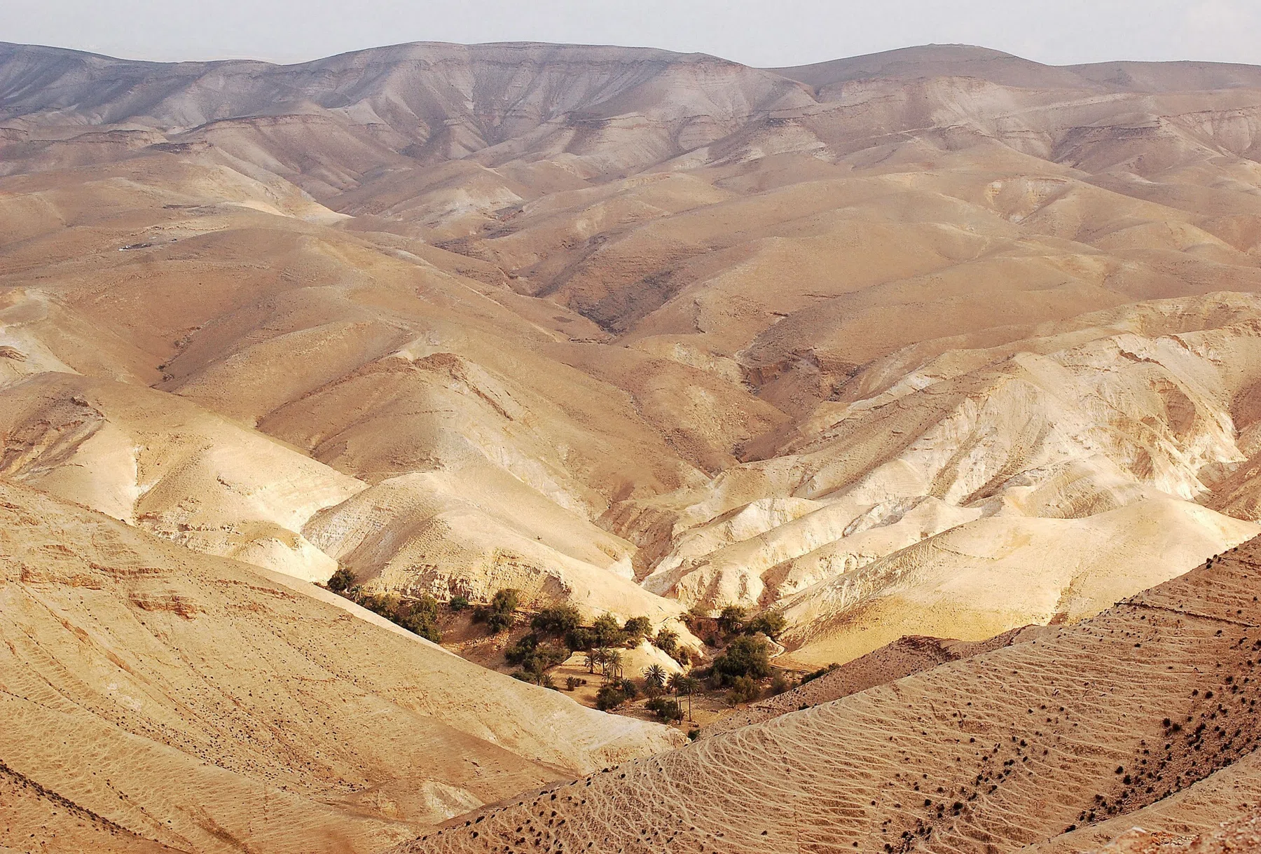 Palestine 2006 — photograph 47