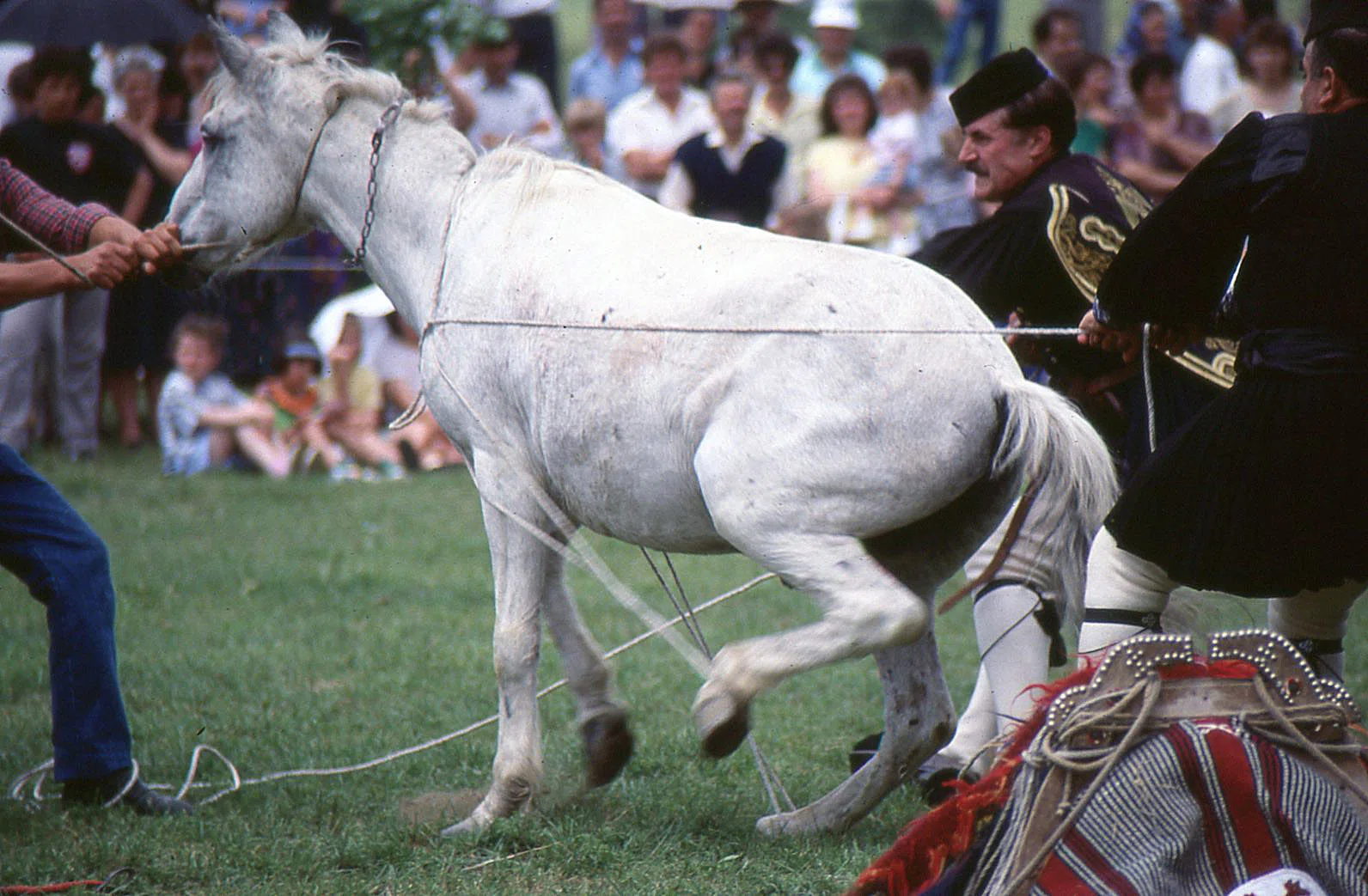 Pindus Mountain Trek 1989 — photograph 19
