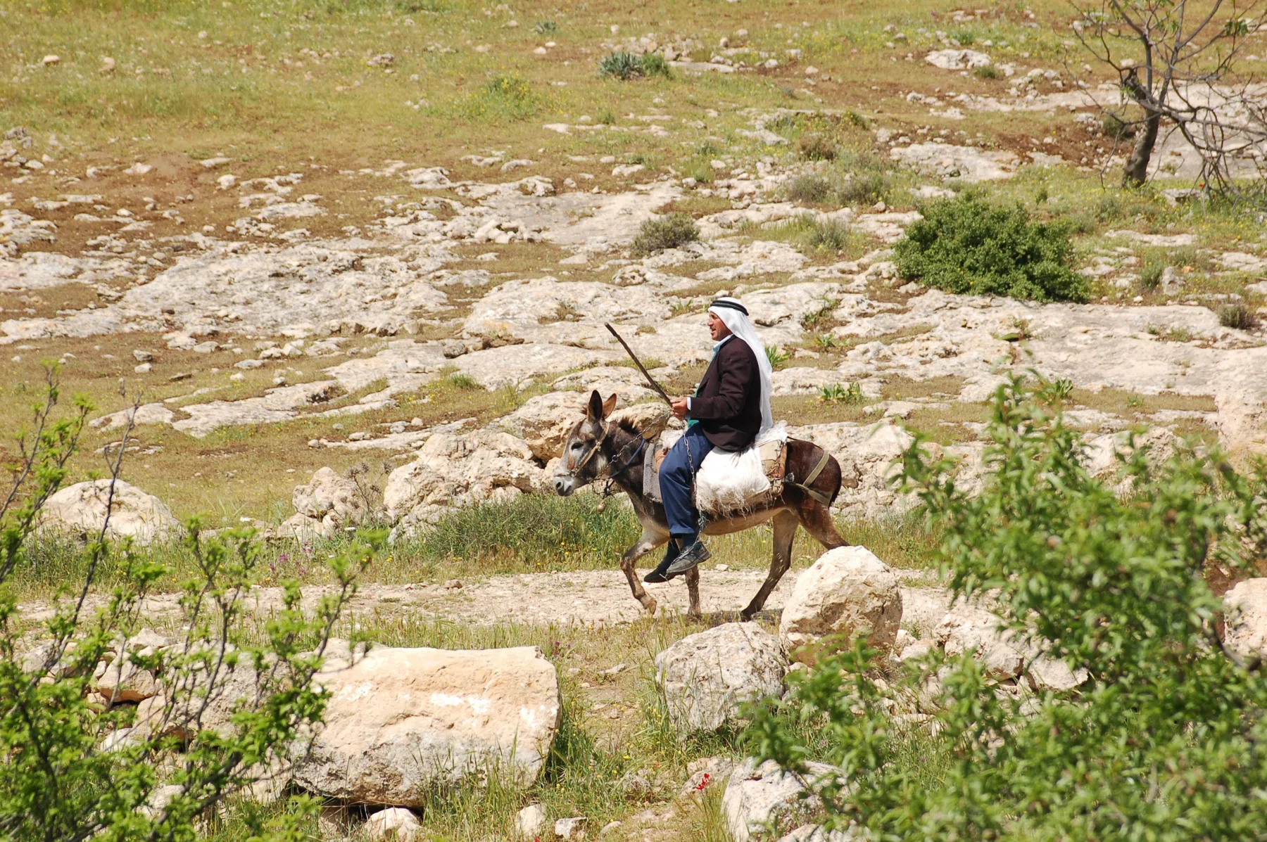Palestine 2006 — photograph 19