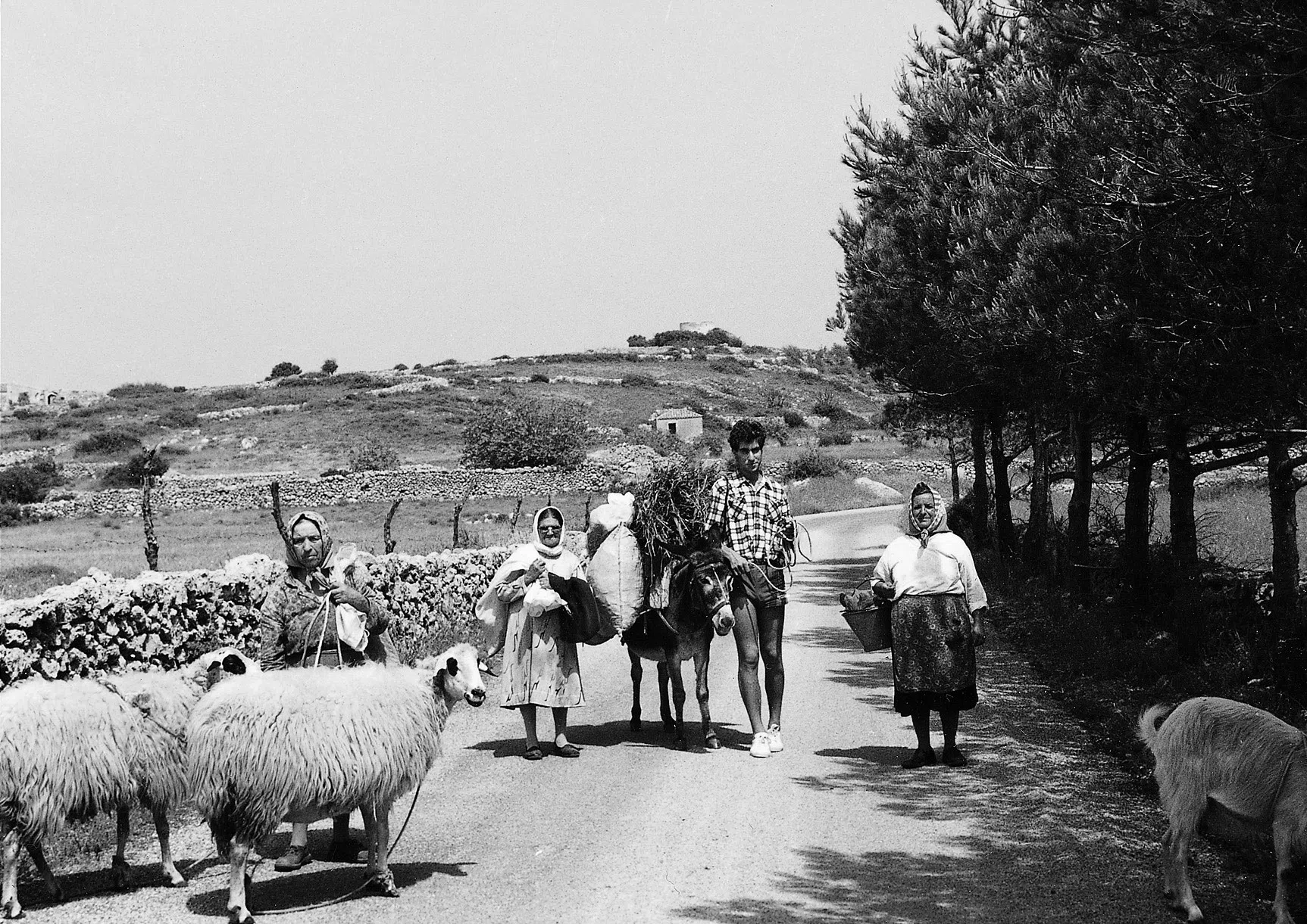 A Village on Kythera Exhibition 1996 — photograph 43