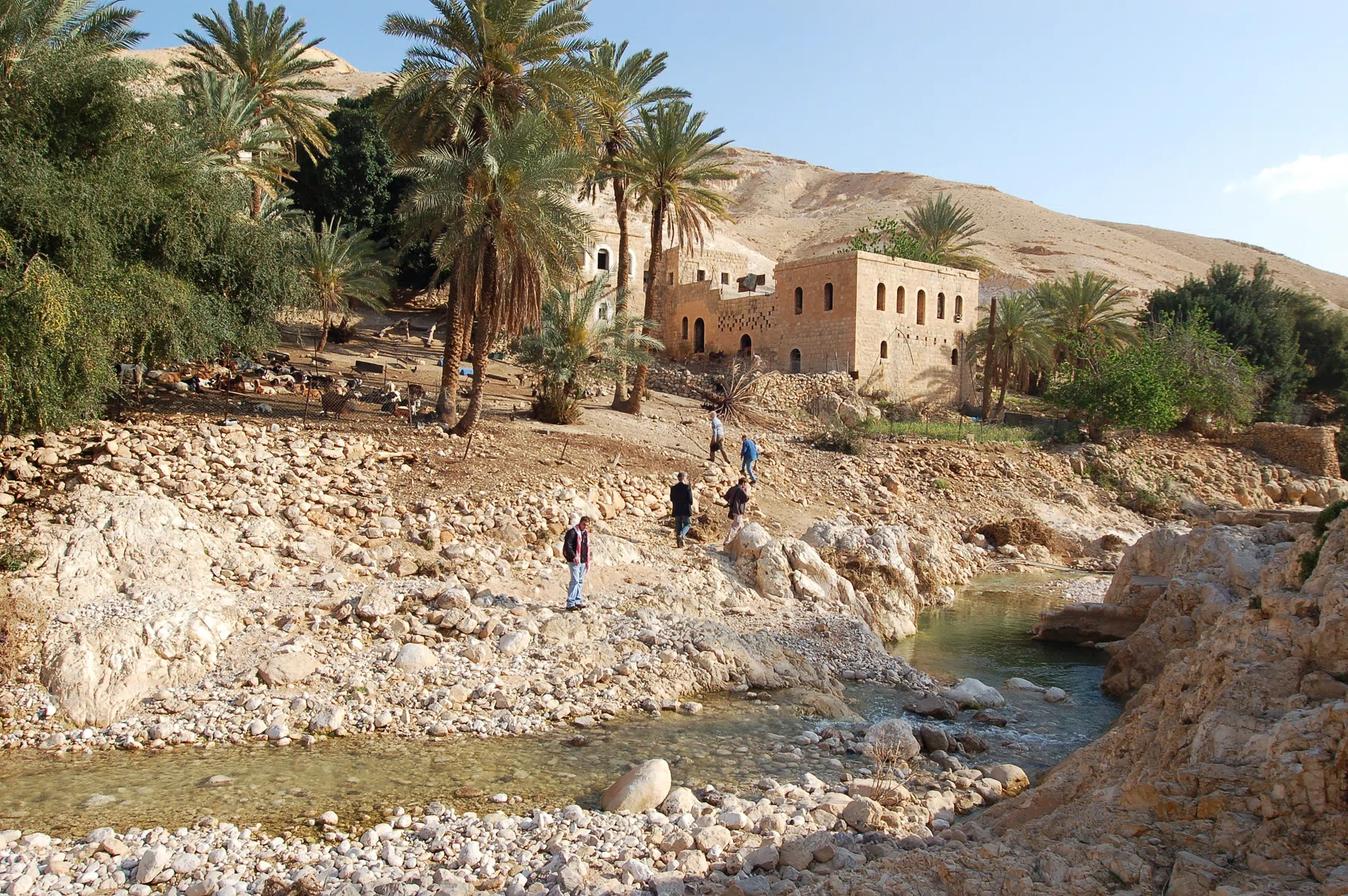 Palestine 2006 — photograph 8