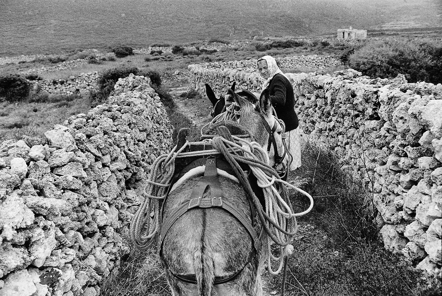 A Village on Kythera Exhibition 1996 — photograph 7