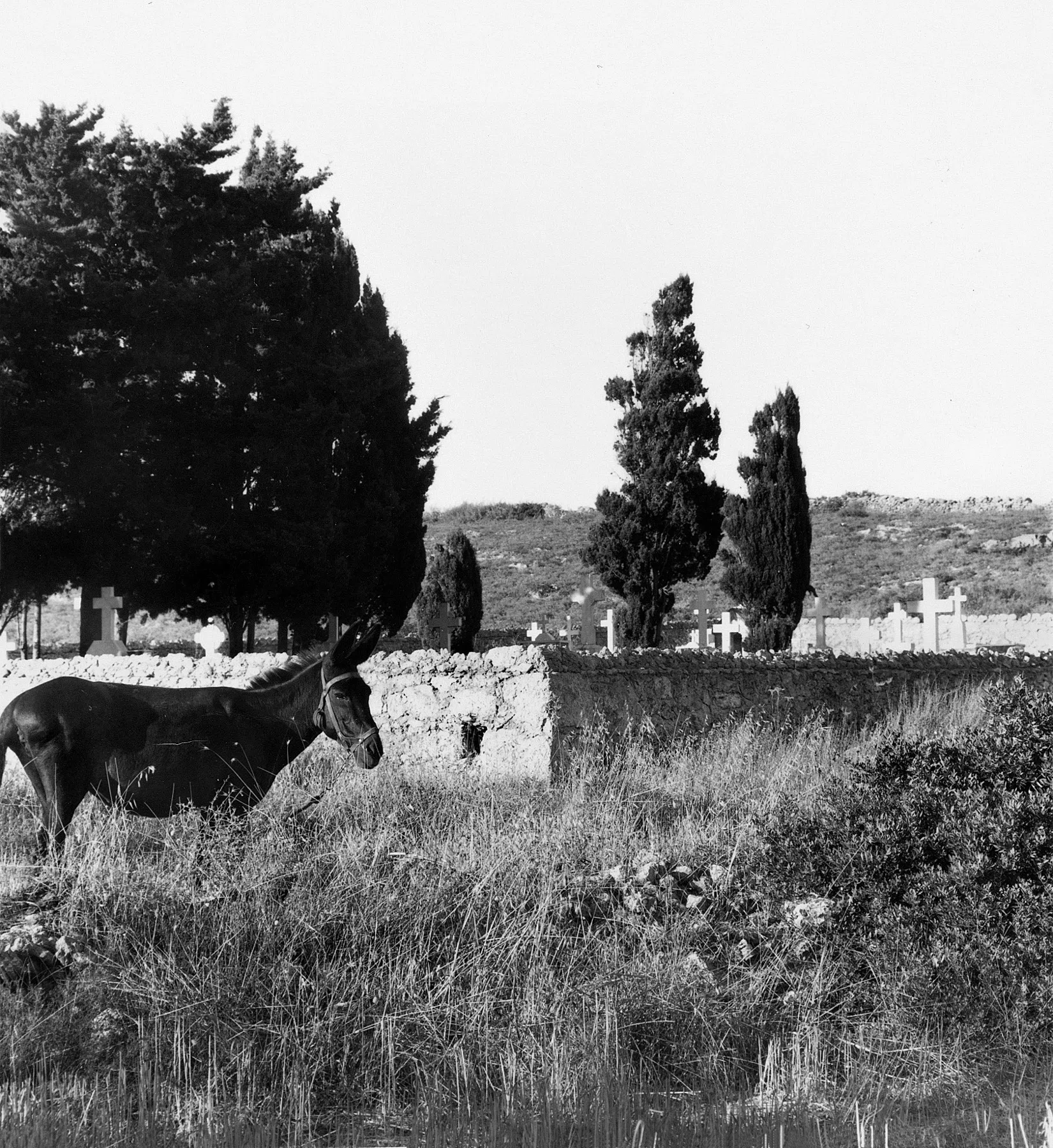 A Village on Kythera Exhibition 1996 — photograph 32