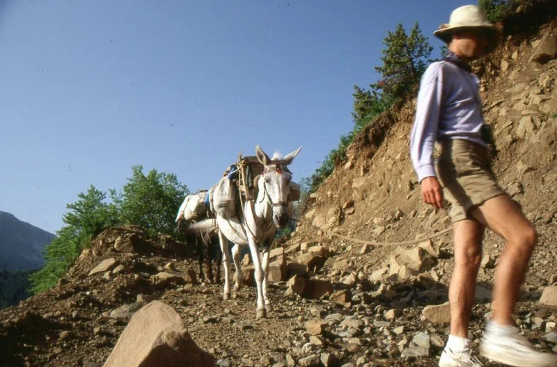Pindus Mountain Trek 1989 — photograph 210