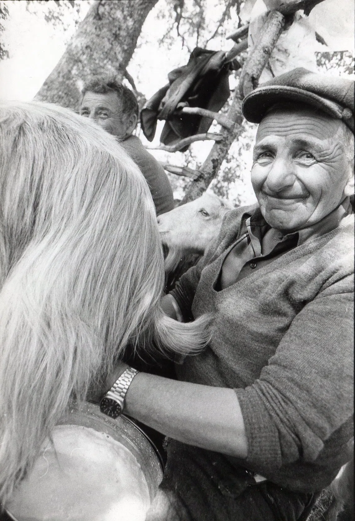 Pindus Mountain Trek 1989 — photograph 97