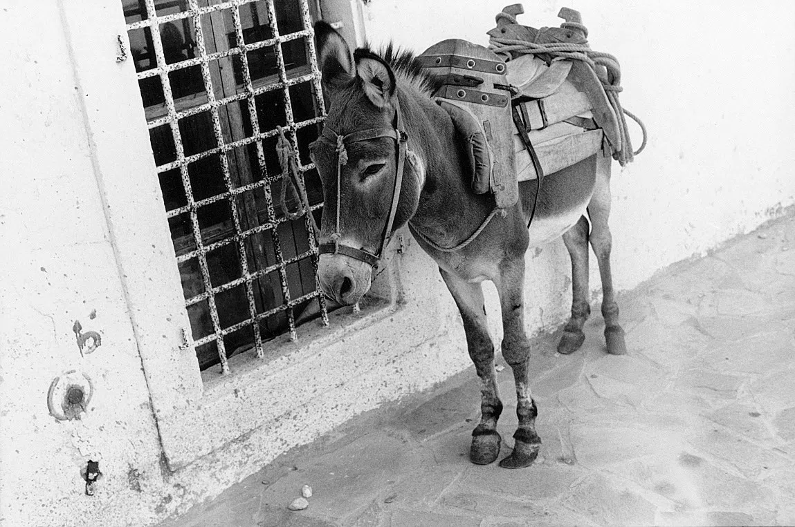 A Village on Kythera Exhibition 1996 — photograph 89