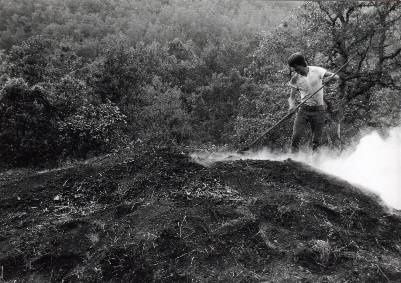 Pindus Mountain Trek 1989 — photograph 58
