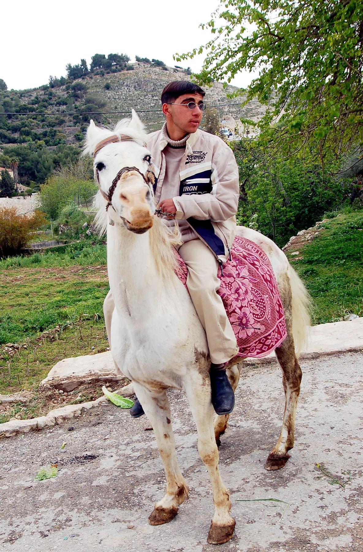 Palestine 2006 — photograph 31