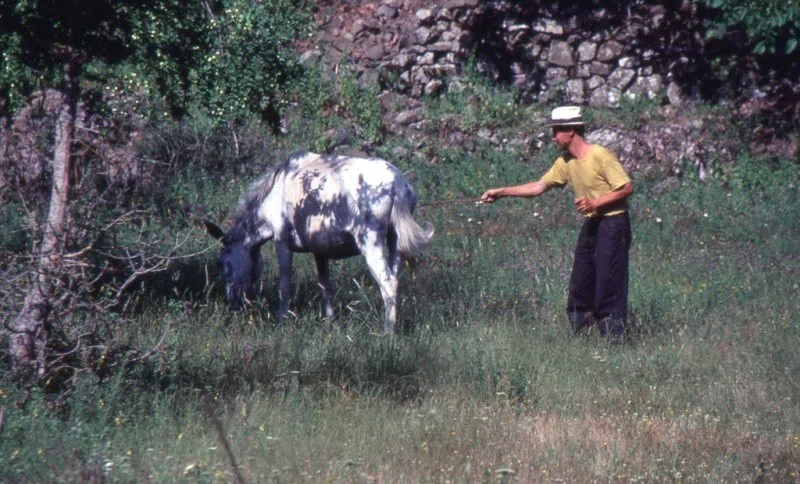 Pindus Mountain Trek 1989 — photograph 212