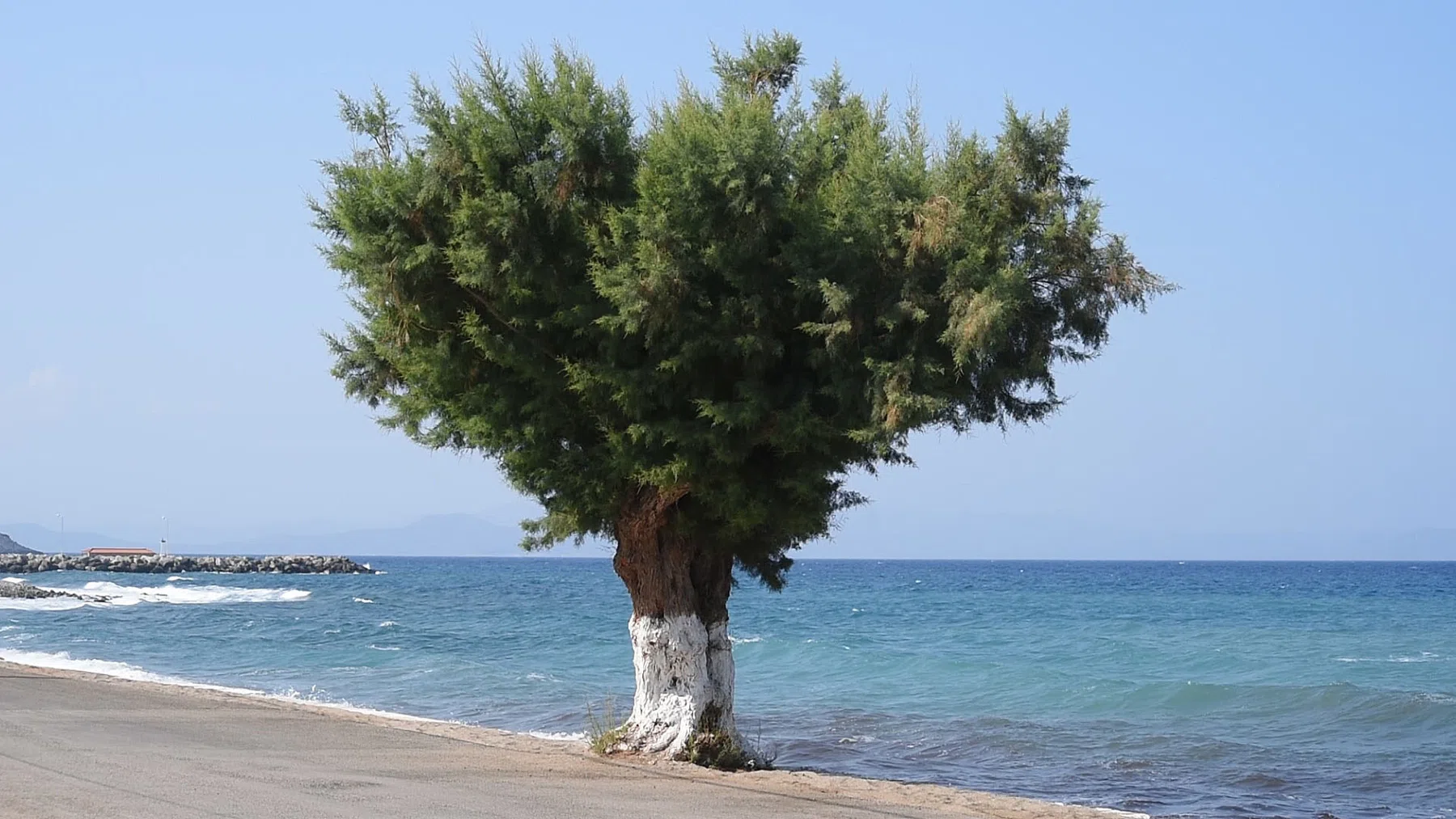 Kythera mon Amour — photograph 33