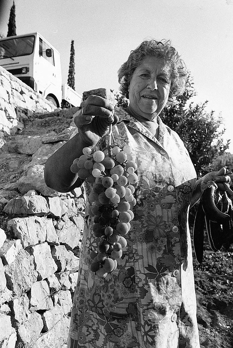 A Village on Kythera Exhibition 1996 — photograph 69