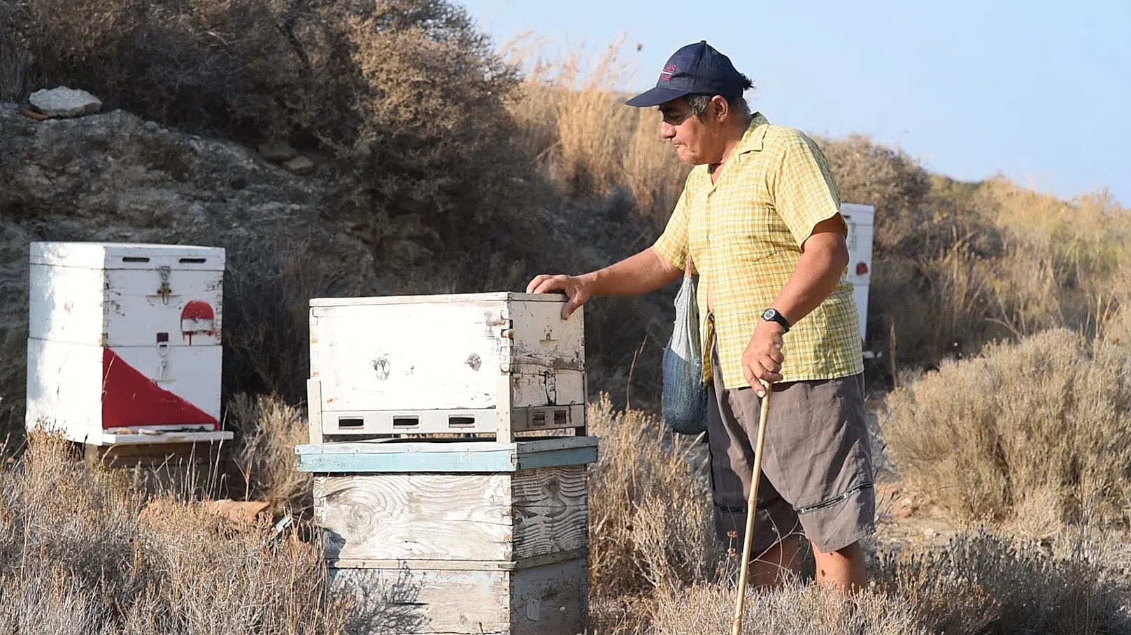 The Beekeepers — photograph 9