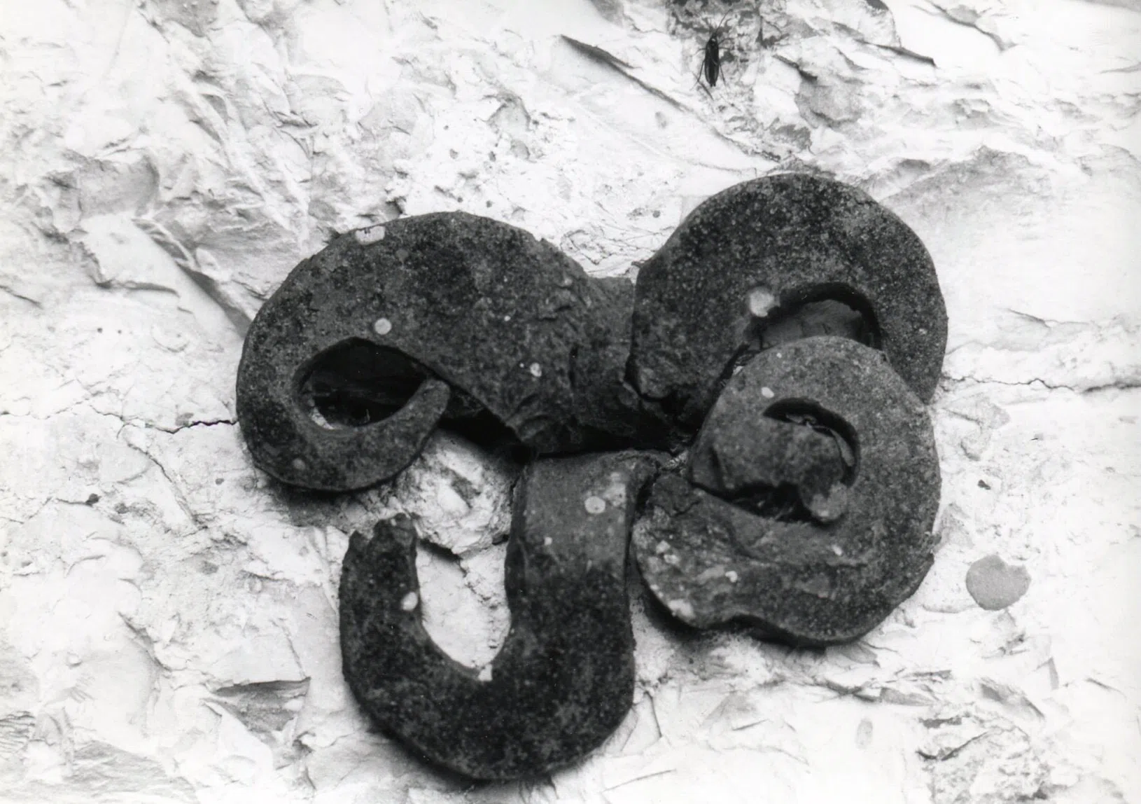 Pindus Mountain Trek 1989 — photograph 54