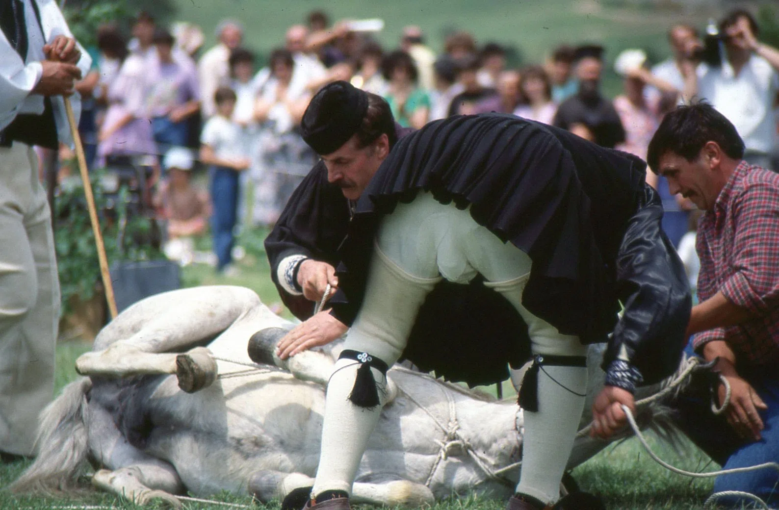 Pindus Mountain Trek 1989 — photograph 15