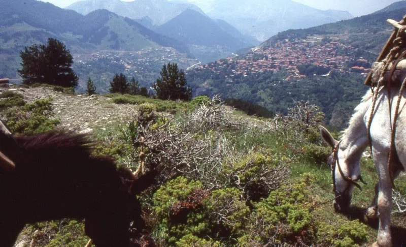 Pindus Mountain Trek 1989 — photograph 189