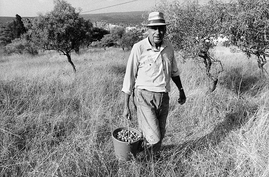 A Village on Kythera Exhibition 1996 — photograph 80