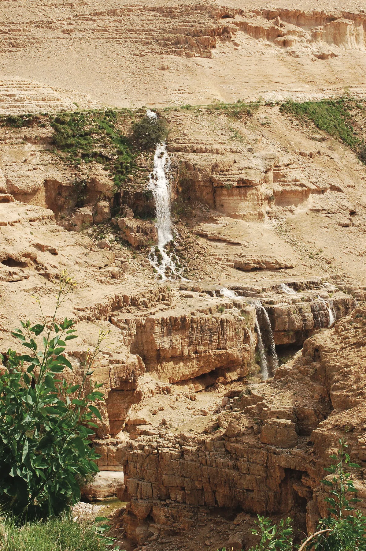 Palestine 2006 — photograph 4