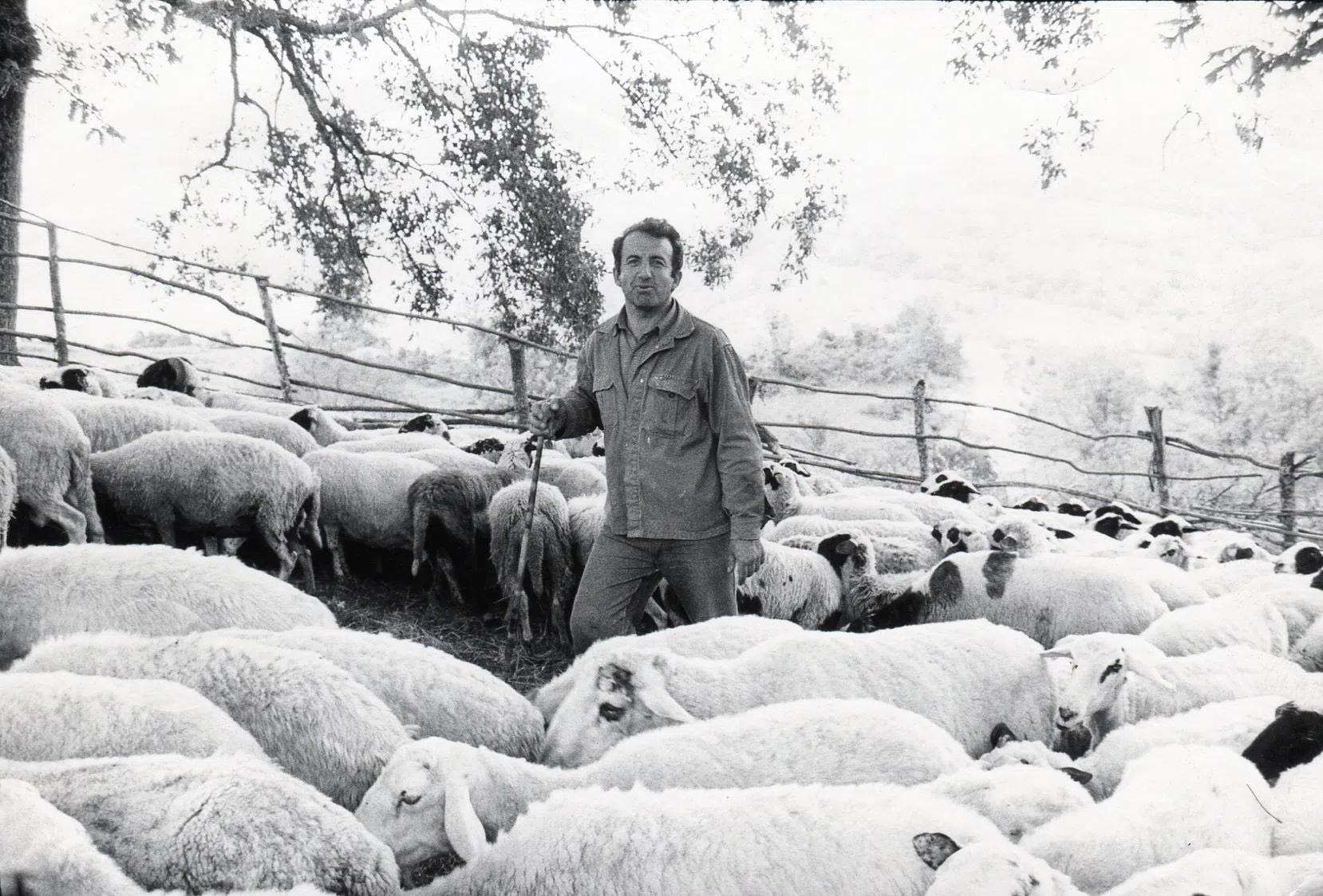Pindus Mountain Trek 1989 — photograph 94