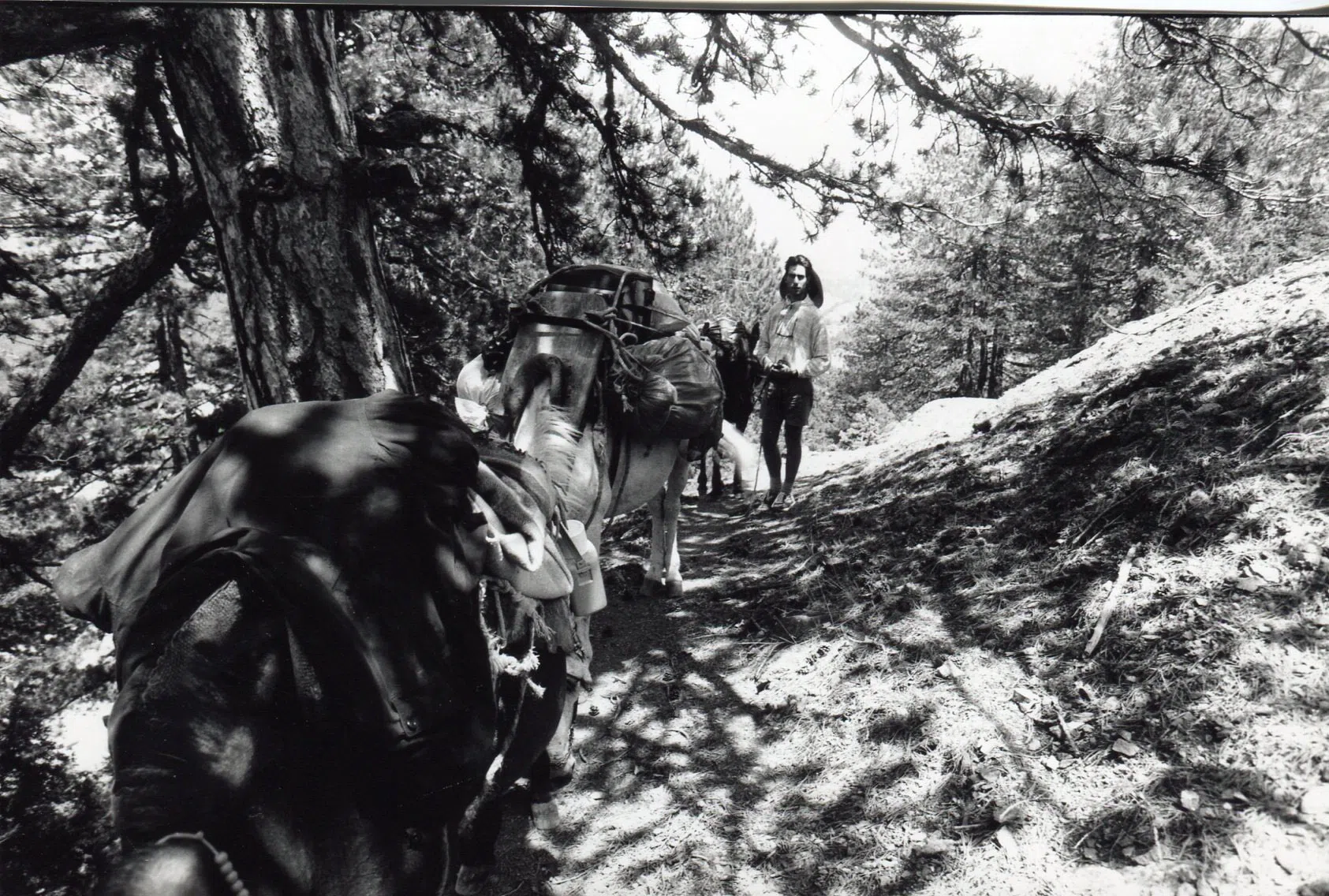 Pindus Mountain Trek 1989 — photograph 80