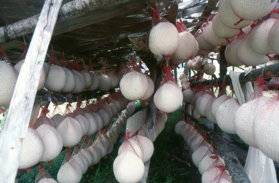 Pindus Mountain Trek 1989 — photograph 120