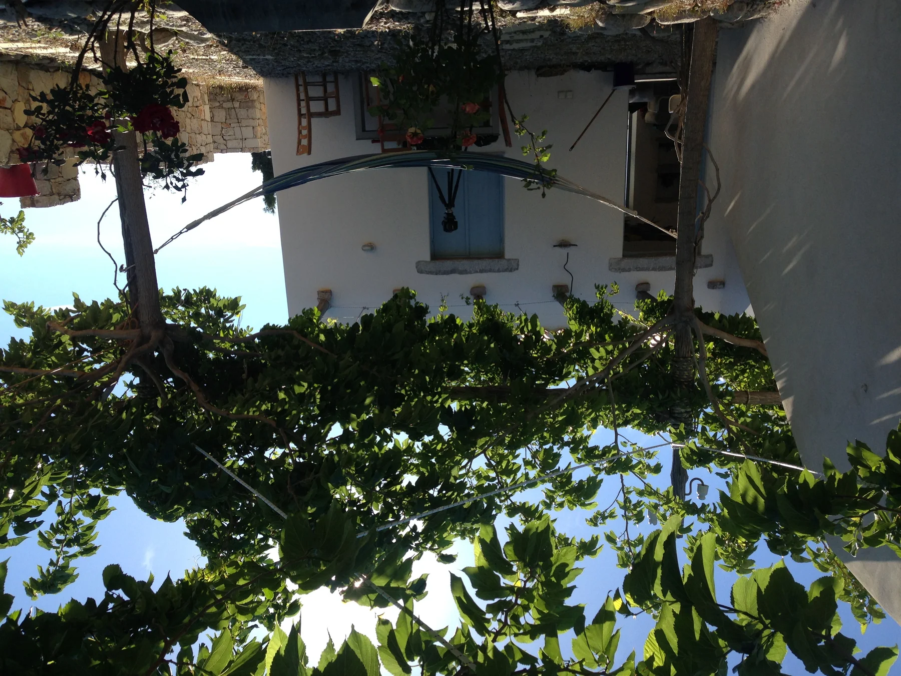 2010 Koumelouni House Design — photograph 45
