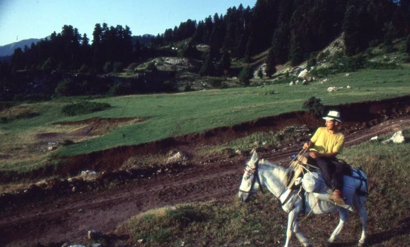 Pindus Mountain Trek 1989 — photograph 195