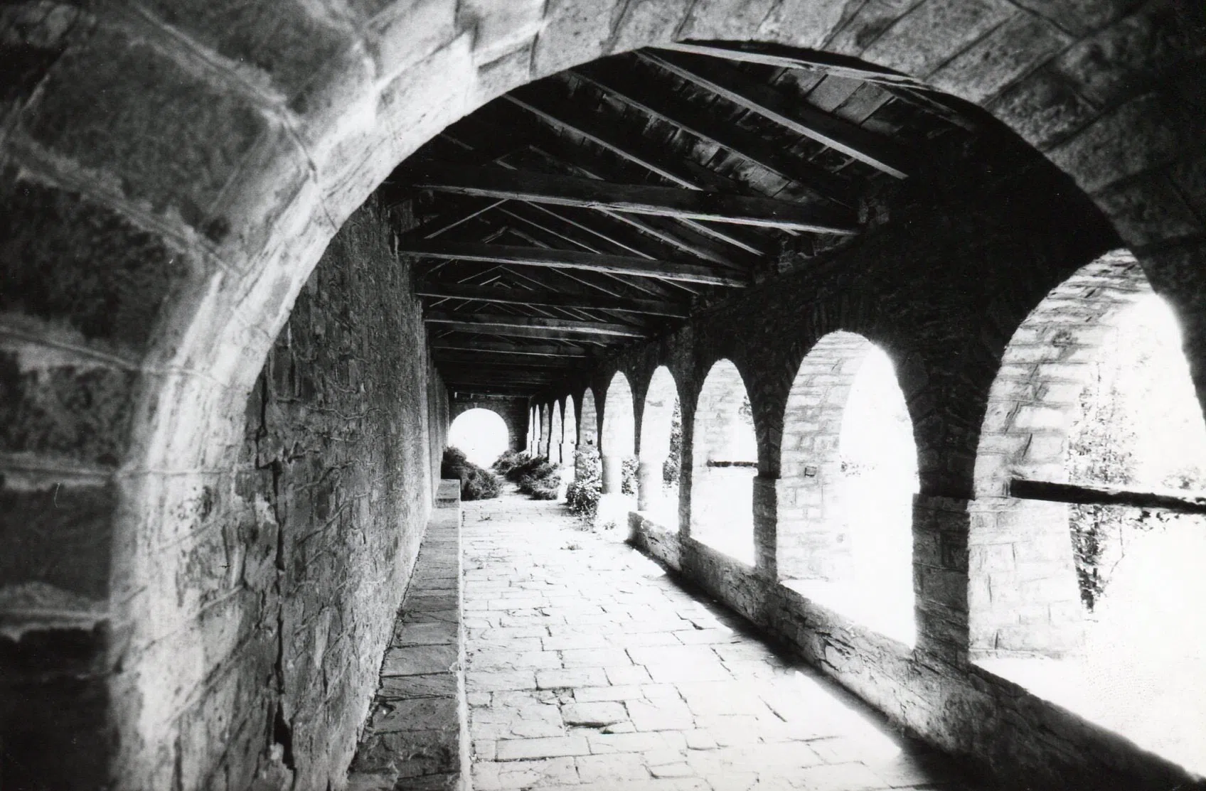 Pindus Mountain Trek 1989 — photograph 82