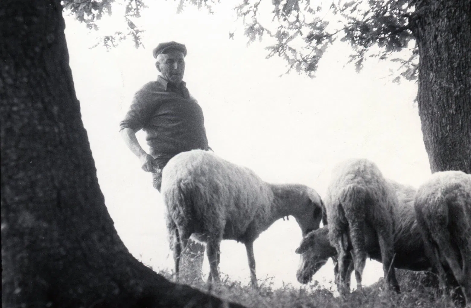 Pindus Mountain Trek 1989 — photograph 88