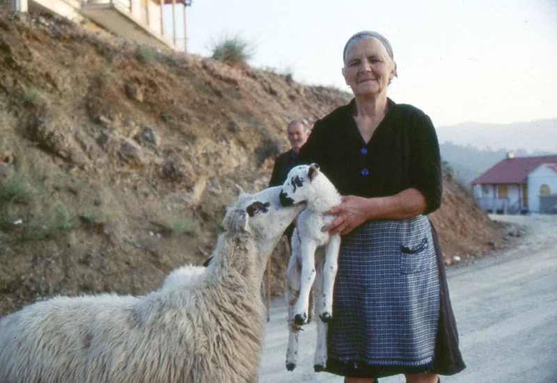 Pindus Mountain Trek 1989 — photograph 152