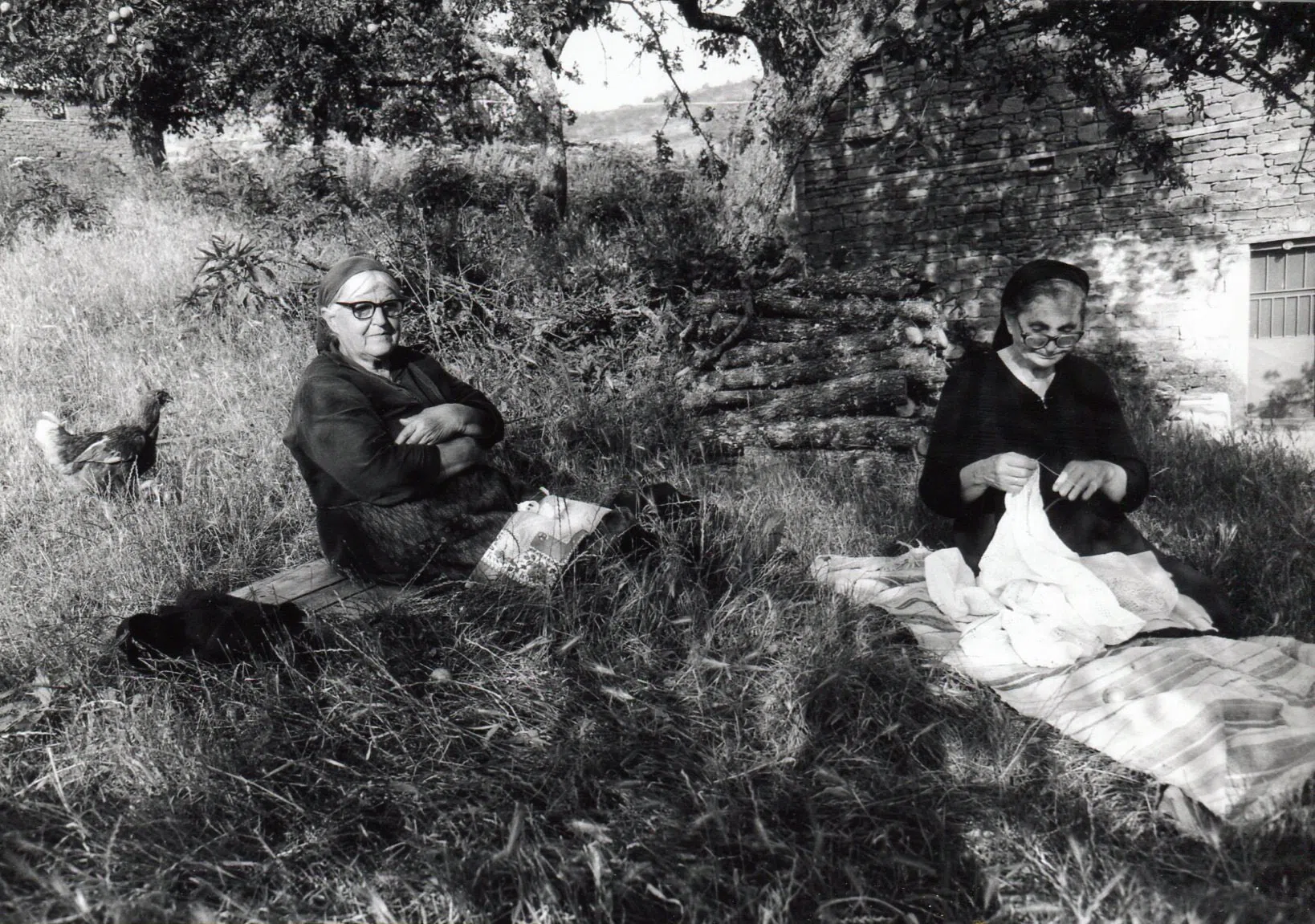 Pindus Mountain Trek 1989 — photograph 49