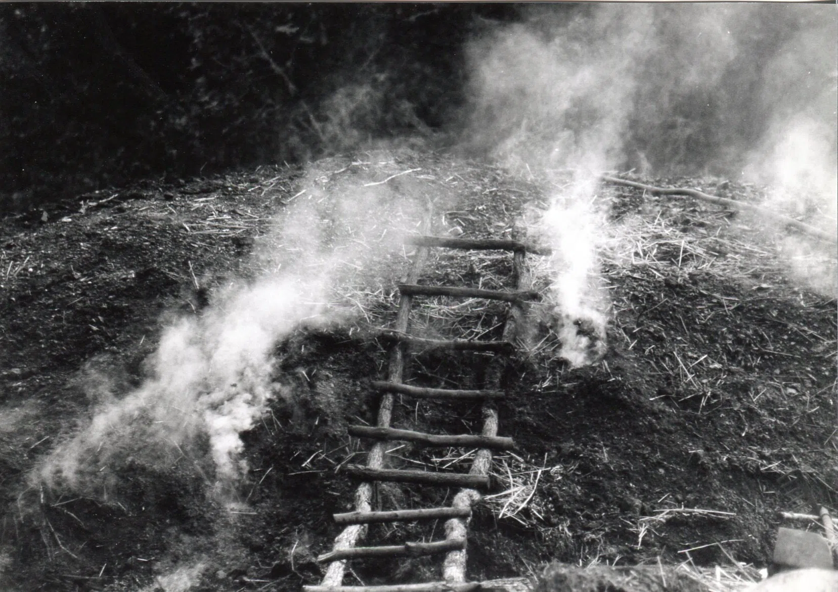 Pindus Mountain Trek 1989 — photograph 56