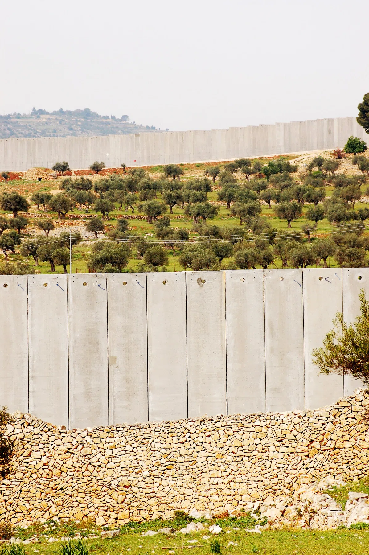 Palestine 2006 — photograph 22