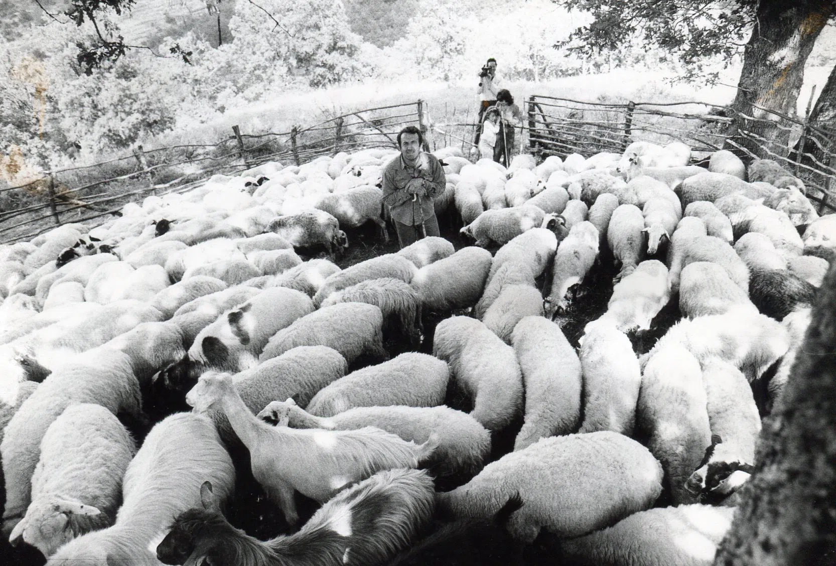 Pindus Mountain Trek 1989 — photograph 74