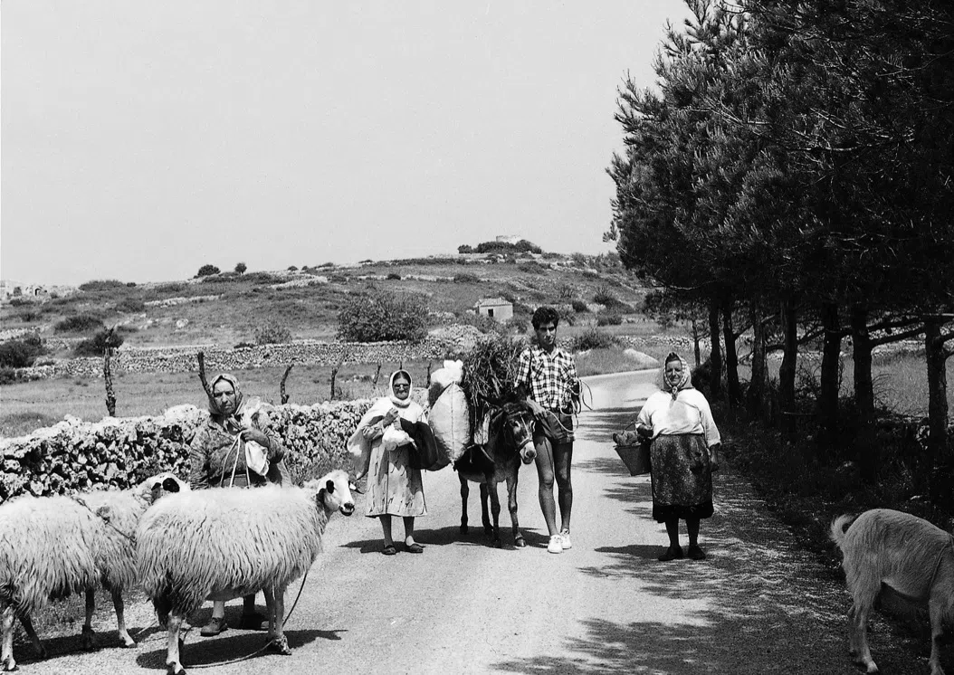James Prineas with islanders, a donkey and sheep on a country road on Kythera